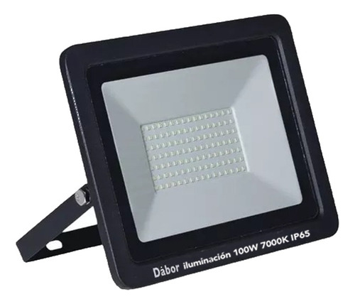 Reflector Led 100w Dabor Exterior Luz Fría Ip65 Carcasa Negra Negro