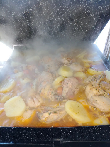 Asadera Bandeja Fuente Caja Disco Arado Enlozado Tapa 41x41 Negro - Imagen 5